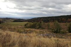20161020_153137
