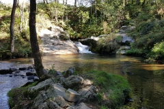 Herfst_1