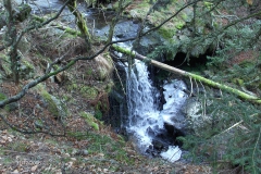 Waterval