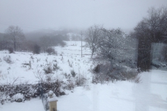 Winter2